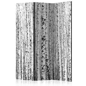 Paraván Birch forest Dekorhome 135x172 cm (3-dílný),Paraván Birch forest Dekorhome 135x172 cm (3-dílný)