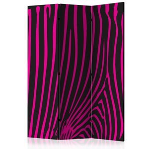 Paraván Zebra pattern (violet) Dekorhome 135x172 cm (3-dílný),Paraván Zebra pattern (violet) Dekorhome 135x172 cm (3-dílný)