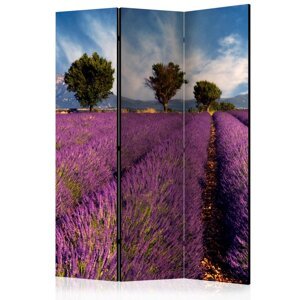 Paraván Lavender field in Provence, France Dekorhome 135x172 cm (3-dílný),Paraván Lavender field in Provence, France Dekorhome 135x172 cm (3-dílný)