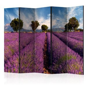 Paraván Lavender field in Provence, France Dekorhome 225x172 cm (5-dílný),Paraván Lavender field in Provence, France Dekorhome 225x172 cm (5-dílný)