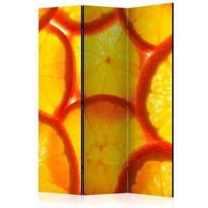 Paraván Orange slices Dekorhome 135x172 cm (3-dílný),Paraván Orange slices Dekorhome 135x172 cm (3-dílný)