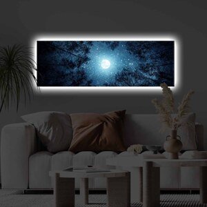 Obraz na plátně s LED podsvícením Měsíc nad lesem