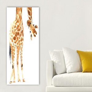 Obraz na plátně Žirafa