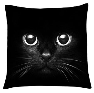 Polštář s motivem kočky 01, černá, Mybesthome 40x40 cm Varianta: Povlak na polštář, 40x40 cm