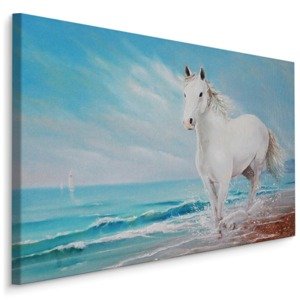 MyBestHome BOX Plátno Bílý Kůň Na Pobřeží Varianta: 100x70