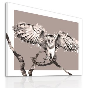 Obraz na plátně OWL B různé rozměry Ludesign ludesign obrazy: 80x60 cm