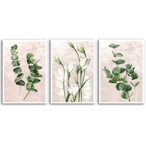 Obraz na plátně PLANTS II. set 3 kusy různé rozměry Ludesign ludesign obrazy: 3x 40x60 cm