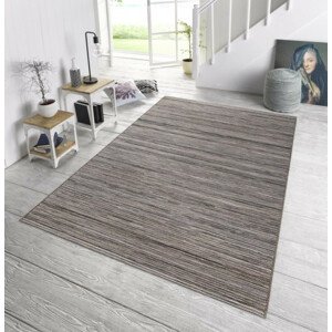 Hanse Home Hanse Home Venkovní kusový koberec Lotus Meliert 102446 šedá 200x290 cm