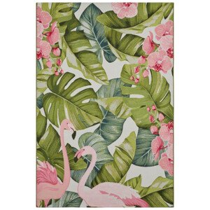 Hanse Home Kusový koberec Flair 105614 Tropical Flamingo 200x285 cm